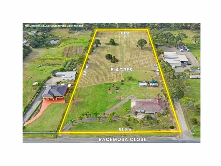 Main view of Homely house listing, 55 Racemosa Close, Kemps Creek NSW 2178