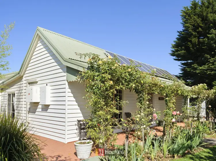 Second view of Homely house listing, 205 Deans Creek Road, Elliminyt VIC 3250