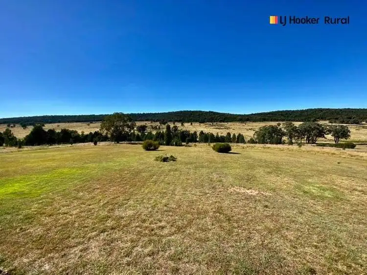 Sixth view of Homely house listing, 2169 Amaroo Way, Cookamidgera NSW 2870