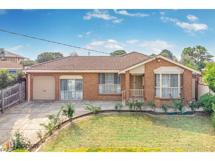 Main view of Homely house listing, 66 Hothlyn Drive, Craigieburn VIC 3064