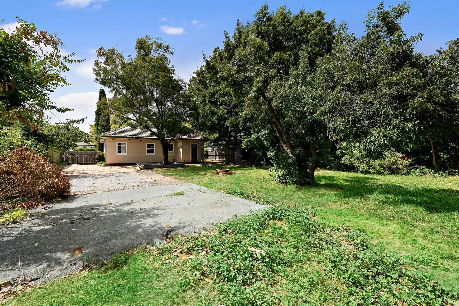 Main view of Homely house listing, 43 Campbell Street, Ainslie ACT 2602