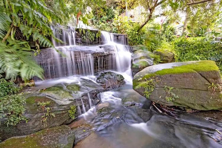 Third view of Homely house listing, 33 Redman Road, Dee Why NSW 2099
