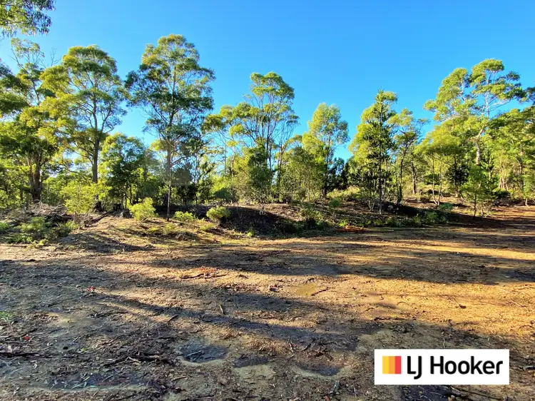 Main view of Homely land listing, 88 Main Street, St Marys TAS 7215