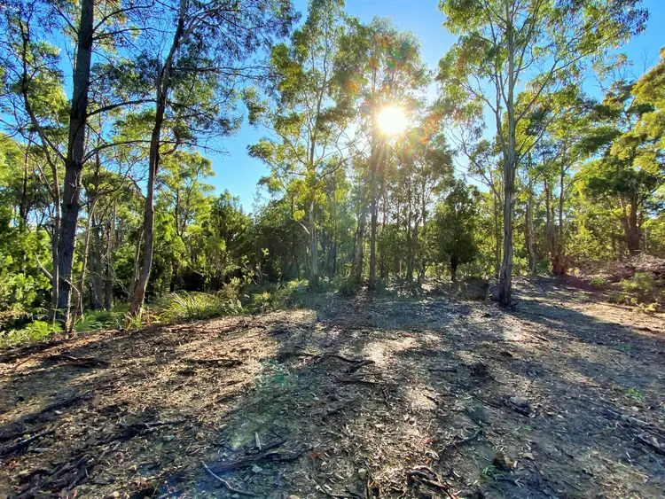 Second view of Homely land listing, 88 Main Street, St Marys TAS 7215