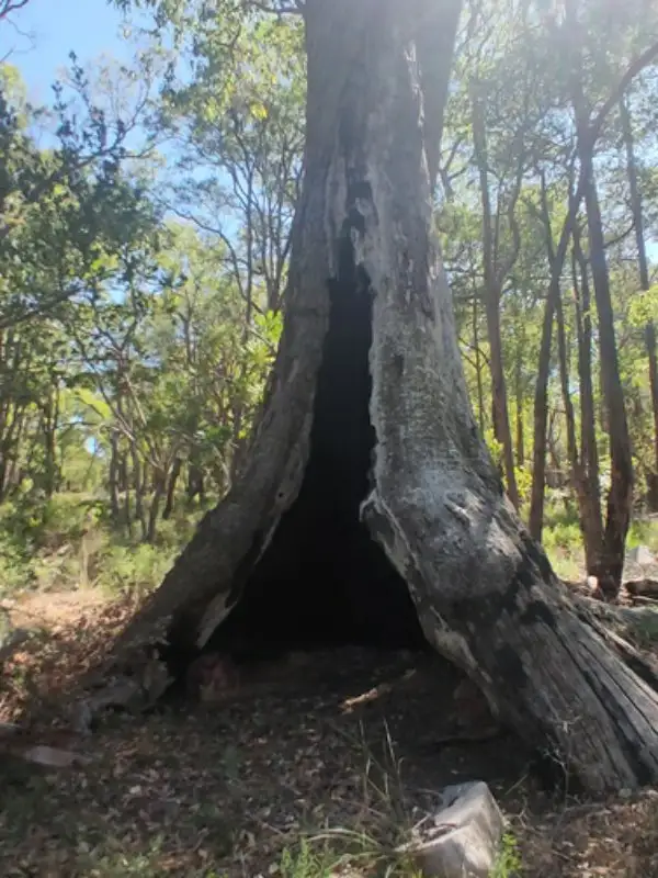 Third view of Homely land listing, 9775 Stoneville Road, Gidgegannup WA 6083