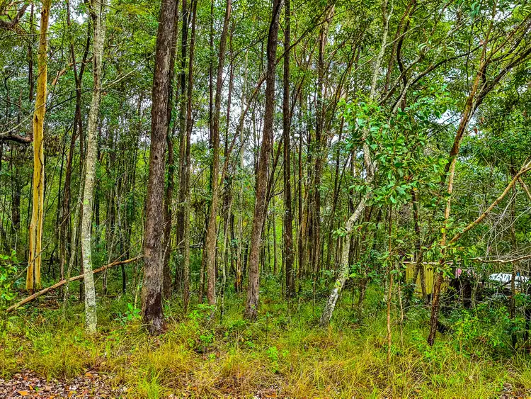 Main view of Homely land listing, 58 Burke Avenue, Russell Island QLD 4184
