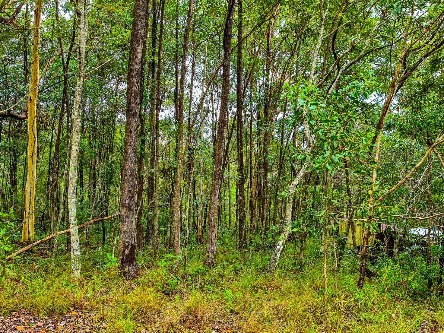 Main view of Homely land listing, 58 Burke Avenue, Russell Island QLD 4184
