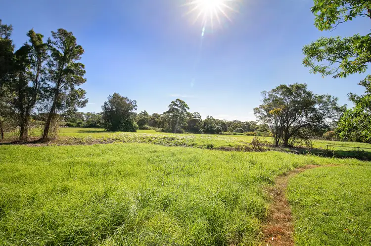 Fourth view of Homely land listing, 31 Walter Road, Ingleside NSW 2101