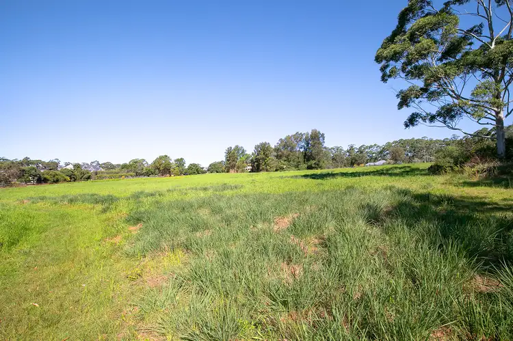 Fifth view of Homely land listing, 31 Walter Road, Ingleside NSW 2101