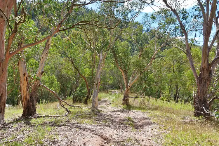 Fourth view of Homely rural property listing, Lots 109 & Sir Thomas Mitchell Drive (off Magpie Ho, South Bowenfels NSW 2790