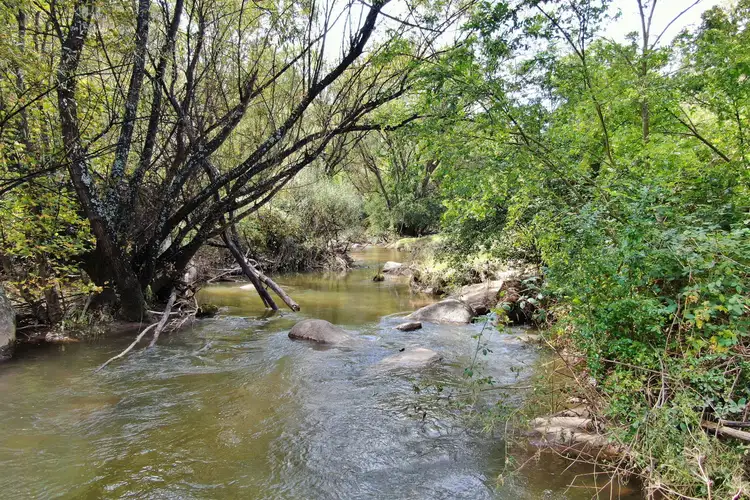 Sixth view of Homely rural property listing, Lots 109 & Sir Thomas Mitchell Drive (off Magpie Ho, South Bowenfels NSW 2790