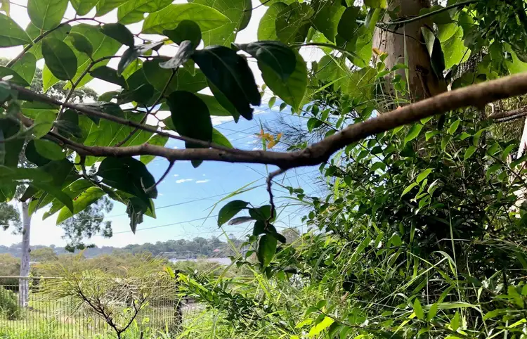 Main view of Homely land listing, 24 The Esplanade, Karragarra Island QLD 4184