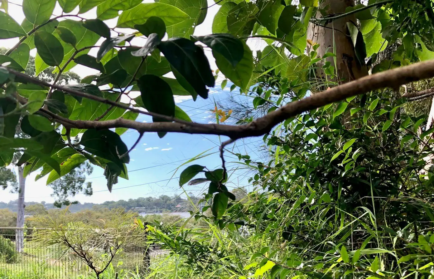 Main view of Homely land listing, 24 The Esplanade, Karragarra Island QLD 4184