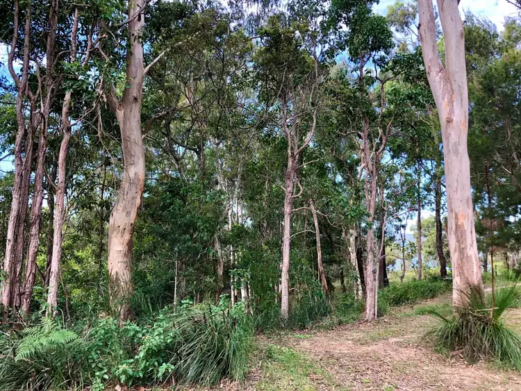Fourth view of Homely land listing, 24 The Esplanade, Karragarra Island QLD 4184