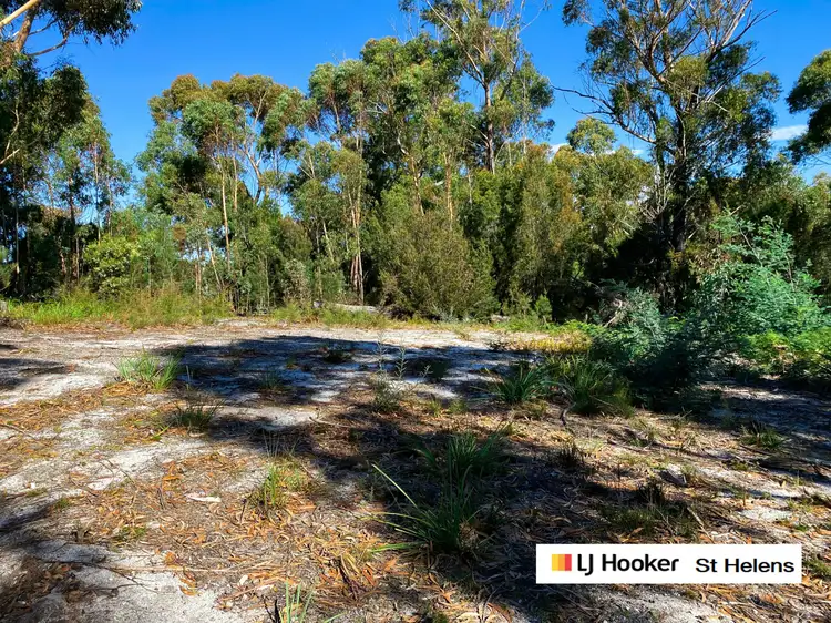 76 Upper Scamander Road, Scamander TAS 7215