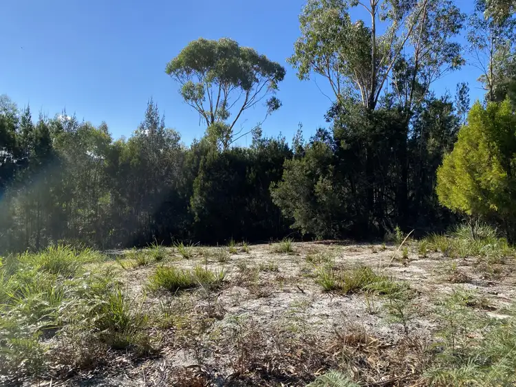 Fifth view of Homely land listing, 76 Upper Scamander Road, Scamander TAS 7215