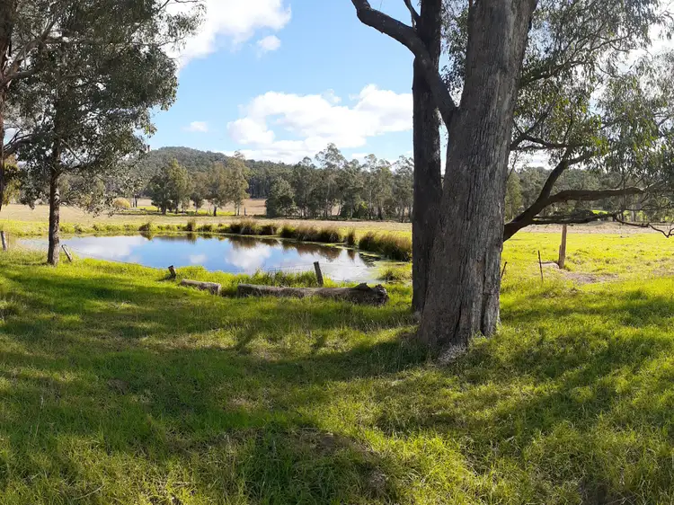 Main view of Homely rural property listing, 288 Holloways Road, Buchan South VIC 3885