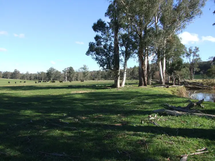 Second view of Homely rural property listing, 288 Holloways Road, Buchan South VIC 3885