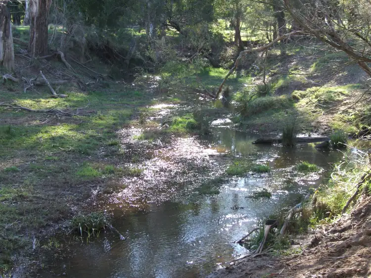 Third view of Homely rural property listing, 288 Holloways Road, Buchan South VIC 3885