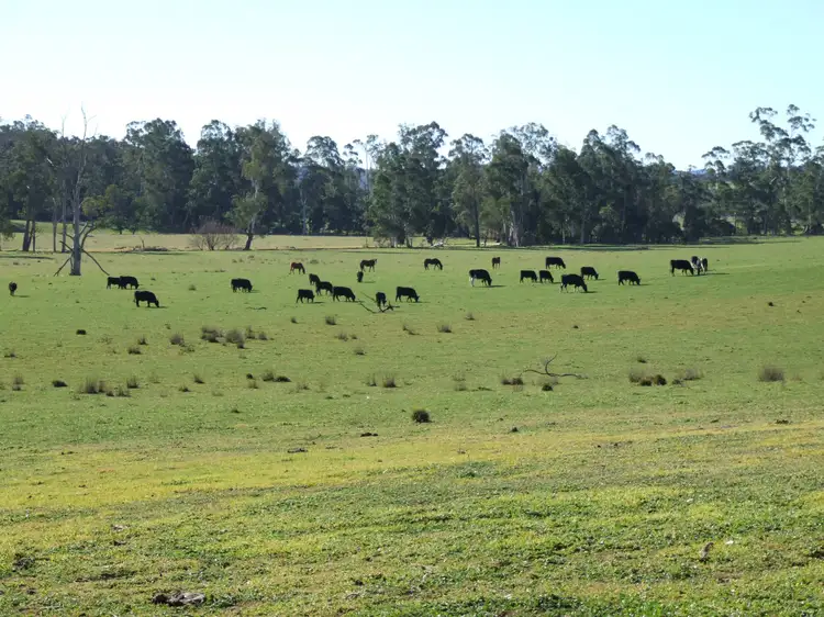 Sixth view of Homely rural property listing, 288 Holloways Road, Buchan South VIC 3885