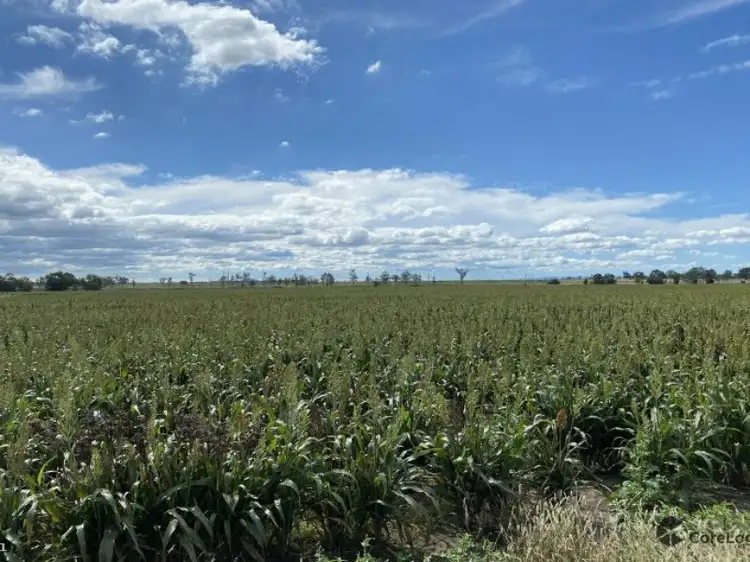 Second view of Homely rural property listing, 6 Lyons Road, Lake Clarendon QLD 4343