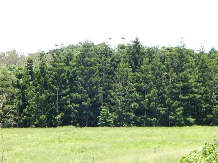 Seventh view of Homely land listing, 70 Manthey Road, Atherton QLD 4883