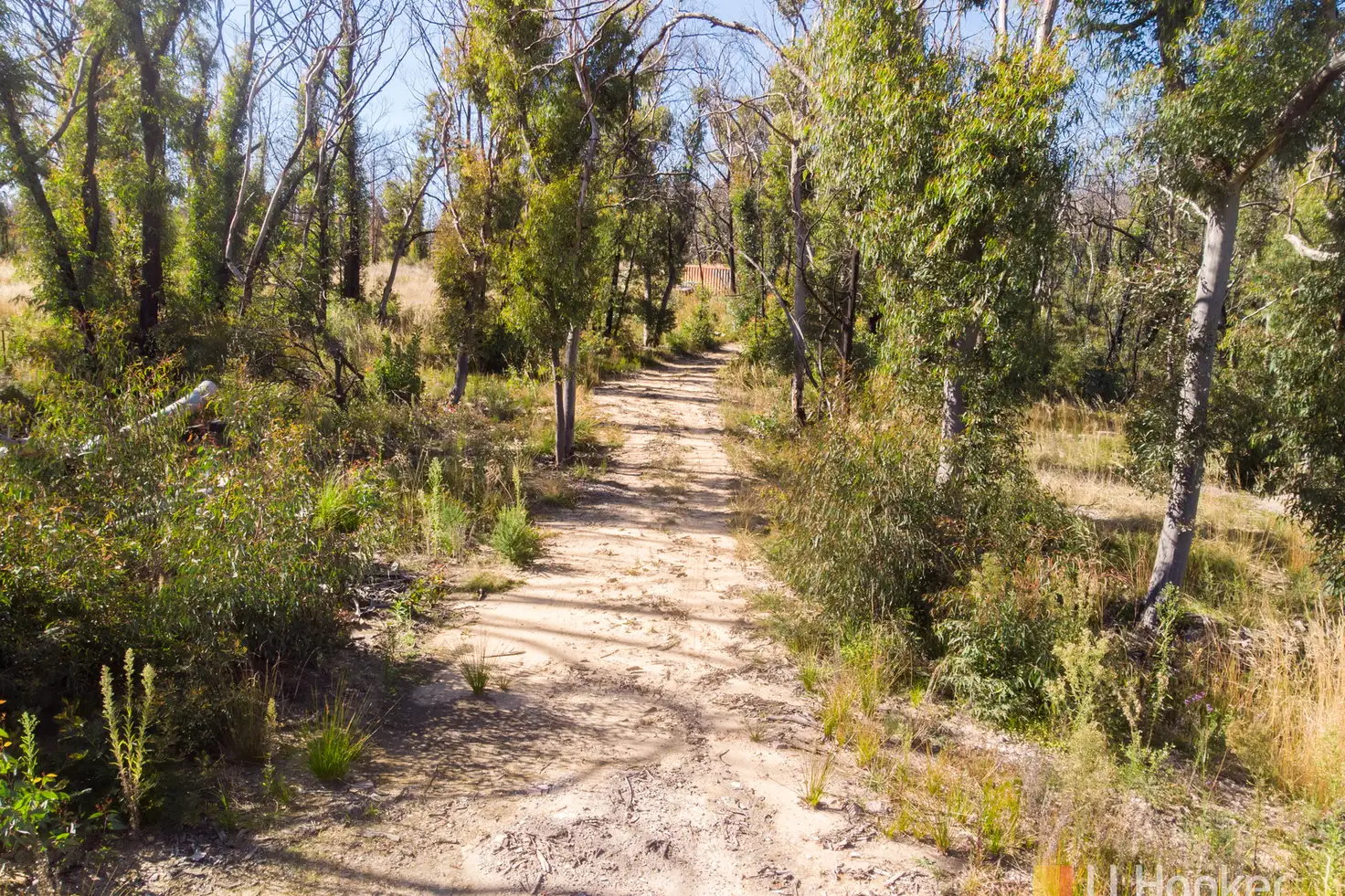 Main view of Homely rural property listing, 70 Valley View Road, Dargan NSW 2786