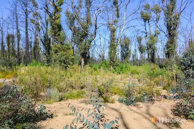 Second view of Homely rural property listing, 70 Valley View Road, Dargan NSW 2786