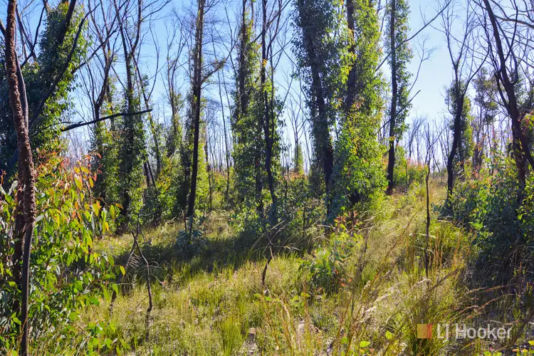 Third view of Homely rural property listing, 70 Valley View Road, Dargan NSW 2786