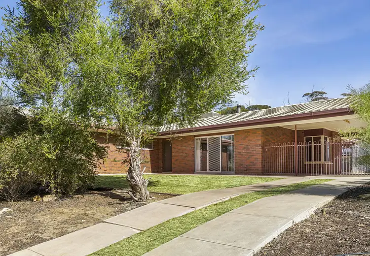 42 Derrick Street, Berri SA 5343
