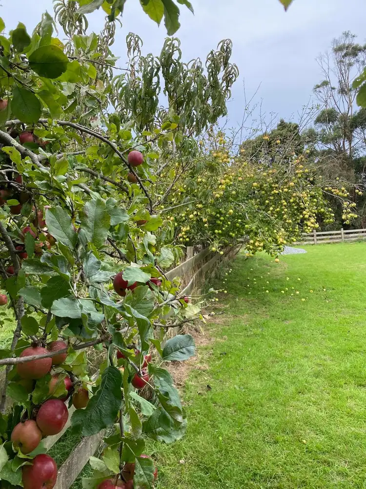 Fourth view of Homely land listing, 171 Port Road, Boat Harbour TAS 7321