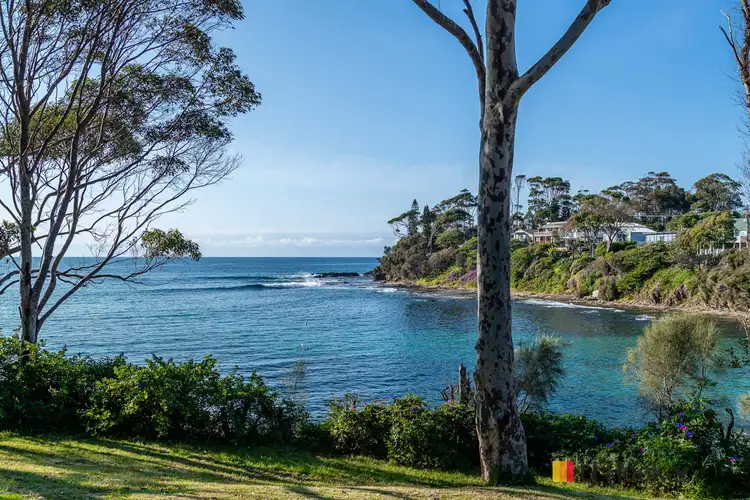 Fourth view of Homely house listing, 22 Baringa Crescent, Lilli Pilli NSW 2536