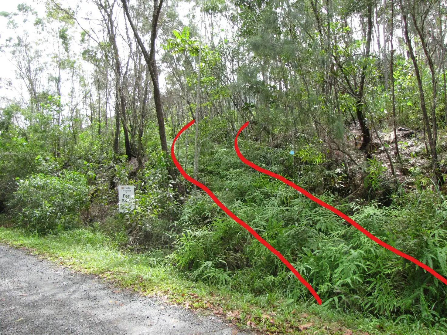 Main view of Homely land listing, Lot 2 Thornton Peak Drive, Daintree QLD 4873