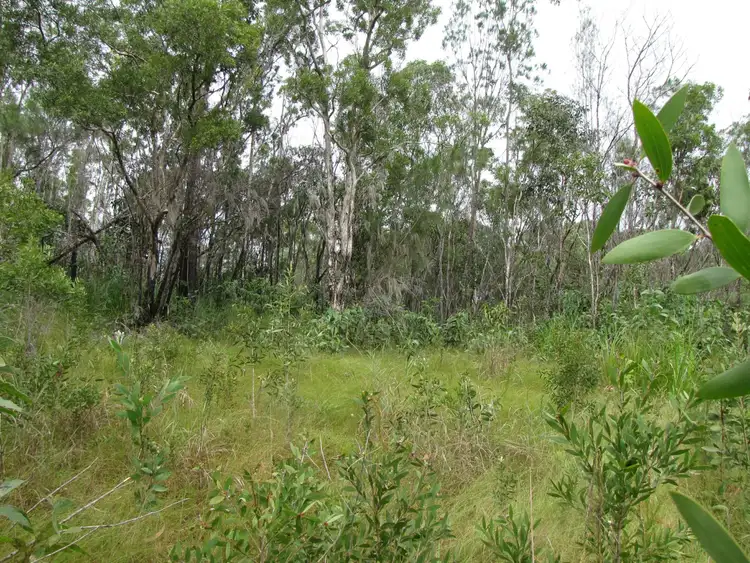 Second view of Homely land listing, Lot 2 Thornton Peak Drive, Daintree QLD 4873