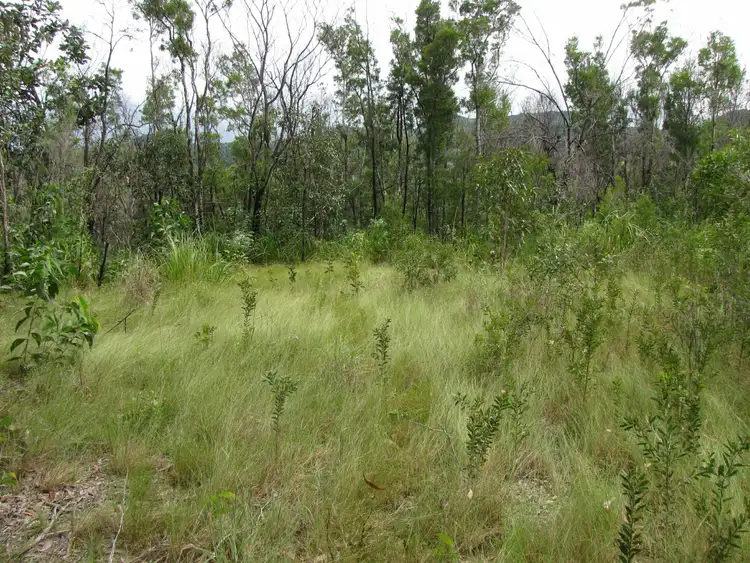 Third view of Homely land listing, Lot 2 Thornton Peak Drive, Daintree QLD 4873