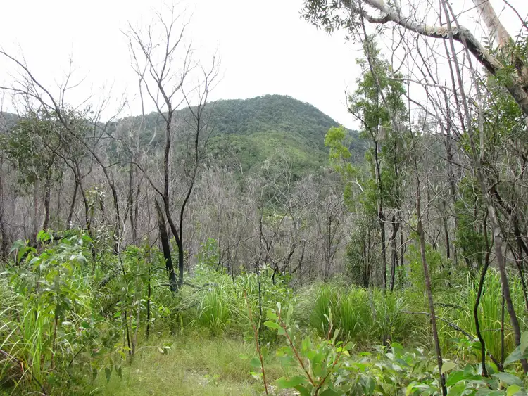 Fourth view of Homely land listing, Lot 2 Thornton Peak Drive, Daintree QLD 4873