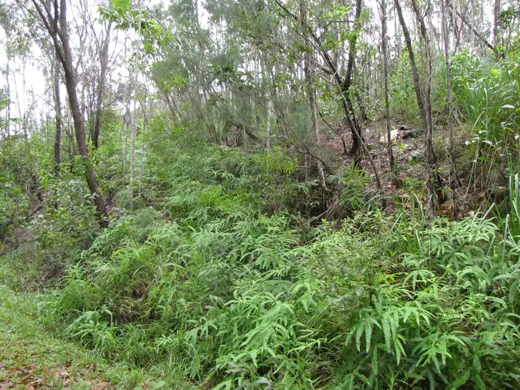 Sixth view of Homely land listing, Lot 2 Thornton Peak Drive, Daintree QLD 4873