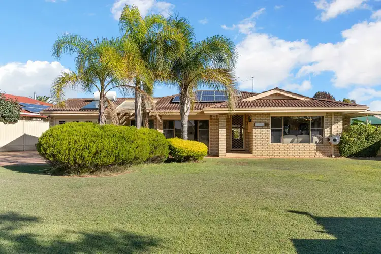 Main view of Homely house listing, 19 Hamlet Court, Bibra Lake WA 6163