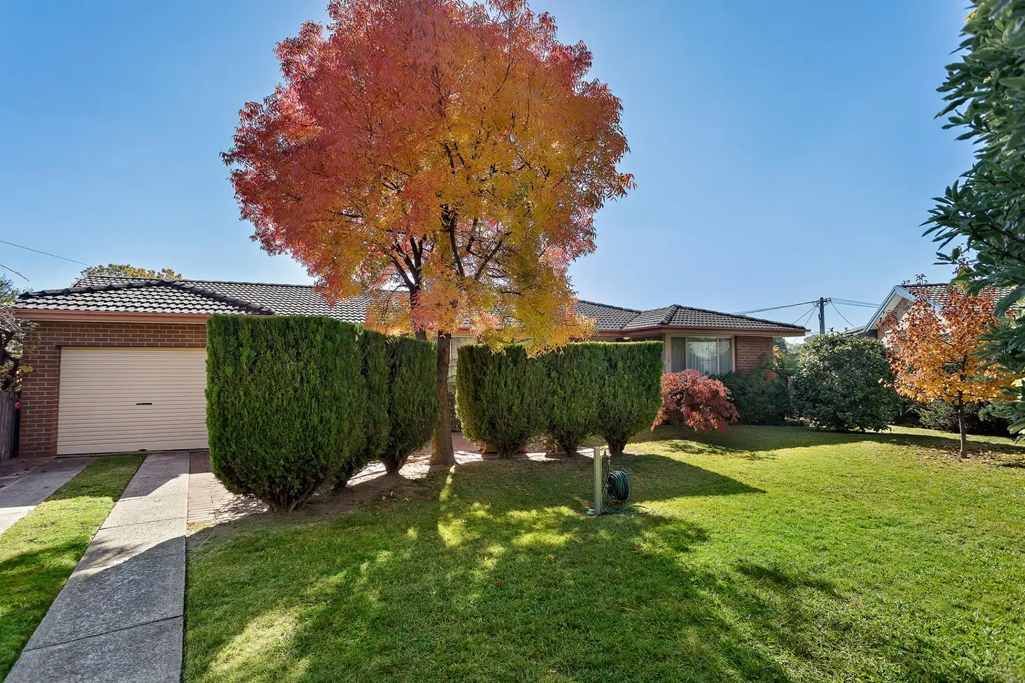 Main view of Homely house listing, 3 Bynoe Place, Page ACT 2614