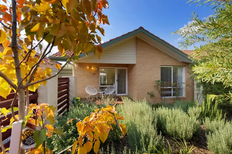 Main view of Homely house listing, 81 Walker Crescent, Narrabundah ACT 2604