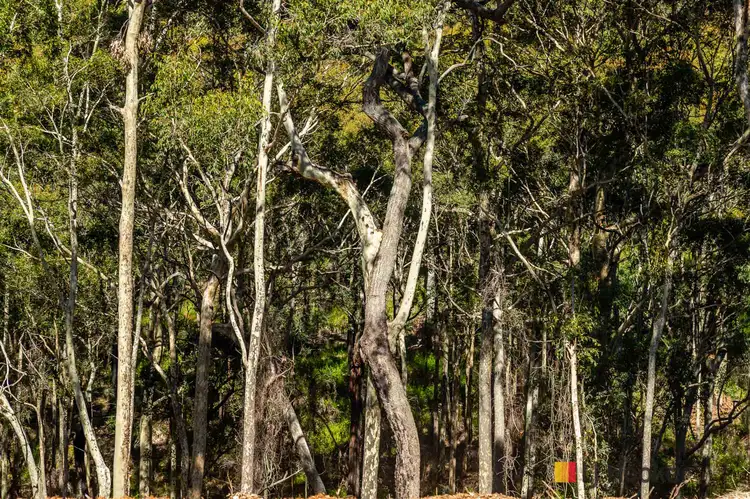 Fourth view of Homely land listing, Wonga Lane, Malua Bay NSW 2536