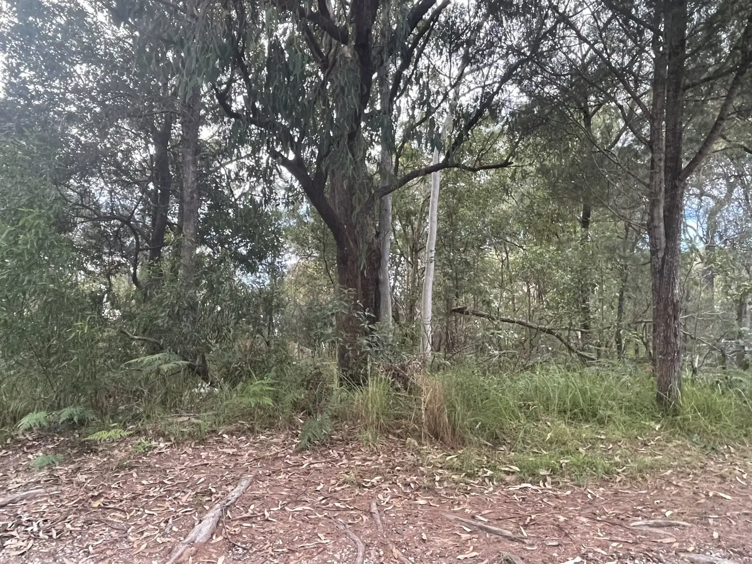 Main view of Homely land listing, 31 Kennedy Ave, Russell Island QLD 4184