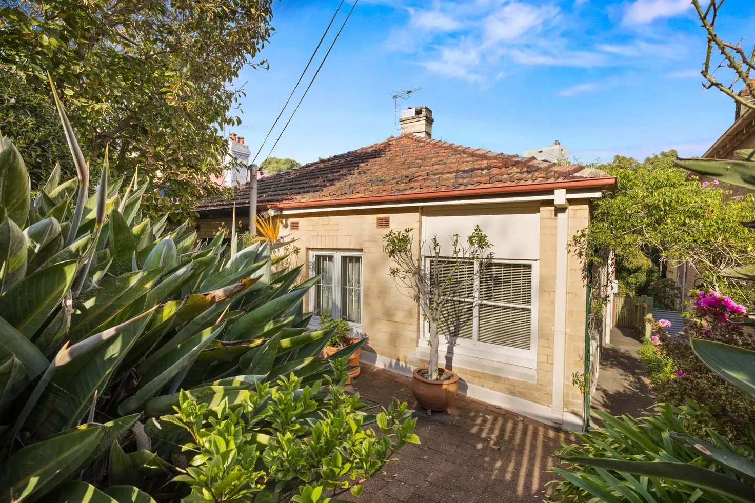 Main view of Homely semi-detached listing, 16A Nicholson Street, Wollstonecraft NSW 2065