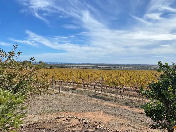 Sixth view of Homely rural property listing, 448 Plains Road, Sellicks Hill SA 5174