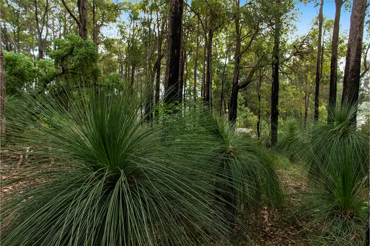 Fifth view of Homely house listing, 236 Pickering Brook Road, Pickering Brook WA 6076