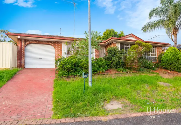 Main view of Homely house listing, 20 Glenella Way, Minto NSW 2566