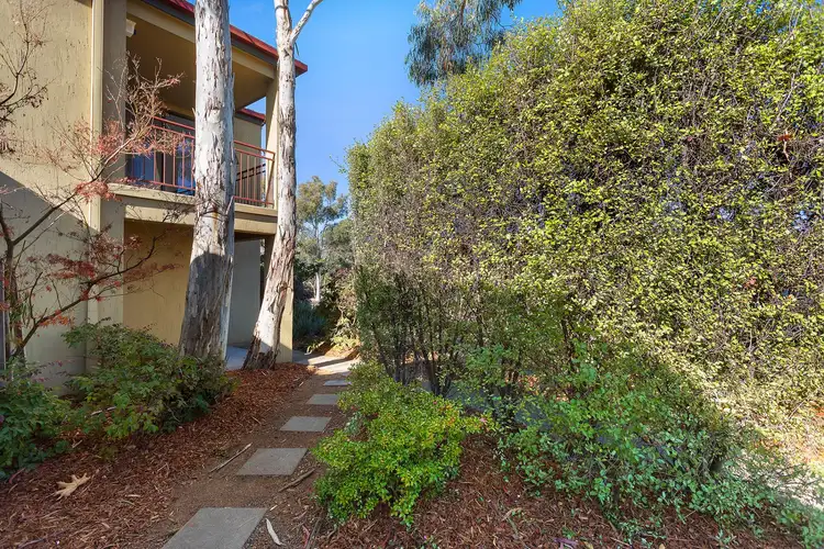 Second view of Homely townhouse listing, 25 Templeton Street, Cook ACT 2614