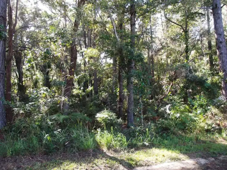 Fourth view of Homely land listing, 38 Alexander Street, Macleay Island QLD 4184