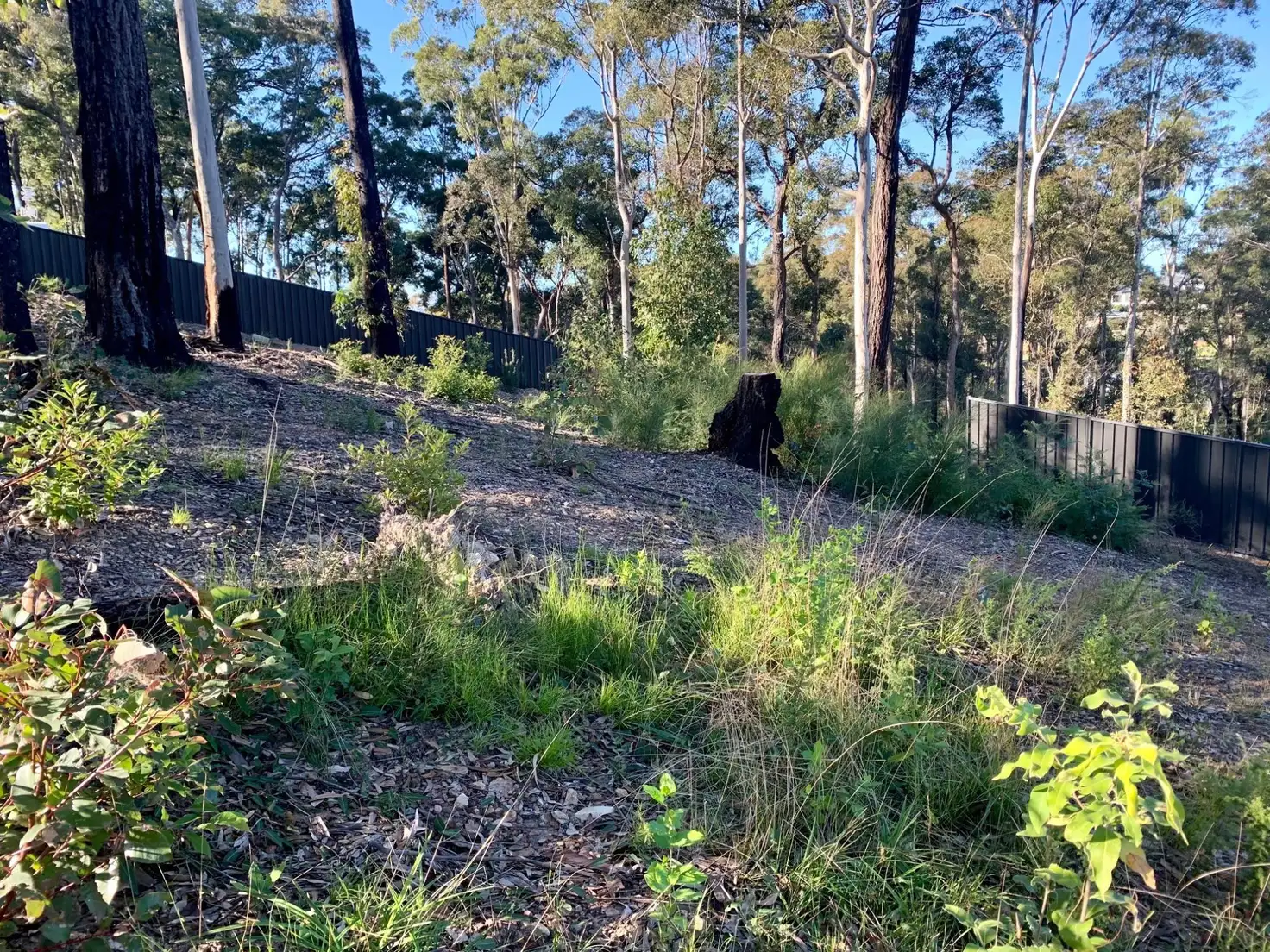 Main view of Homely land listing, 3 Currawong Crescent, Malua Bay NSW 2536