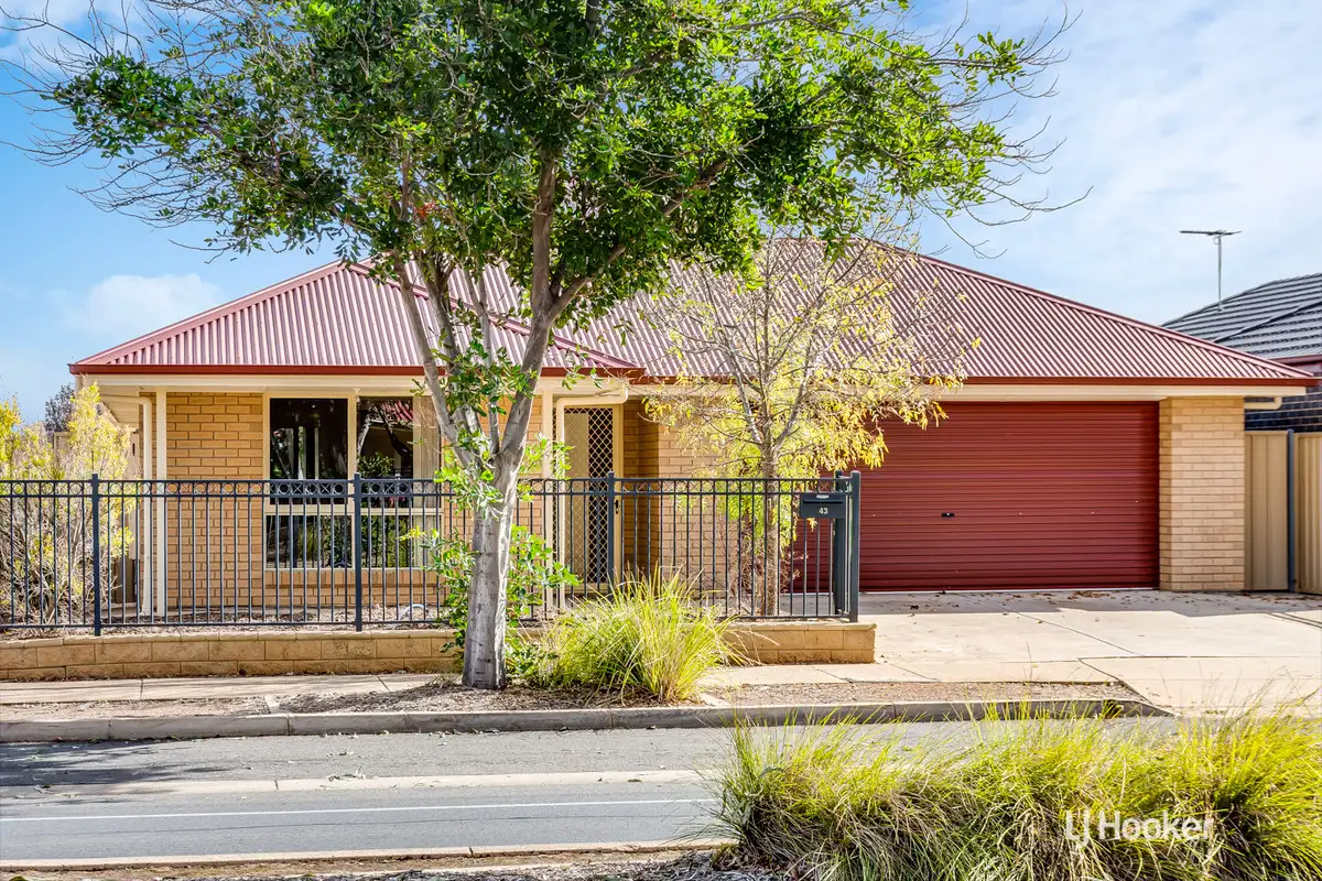 Main view of Homely house listing, 43 Douglas Drive, Munno Para SA 5115